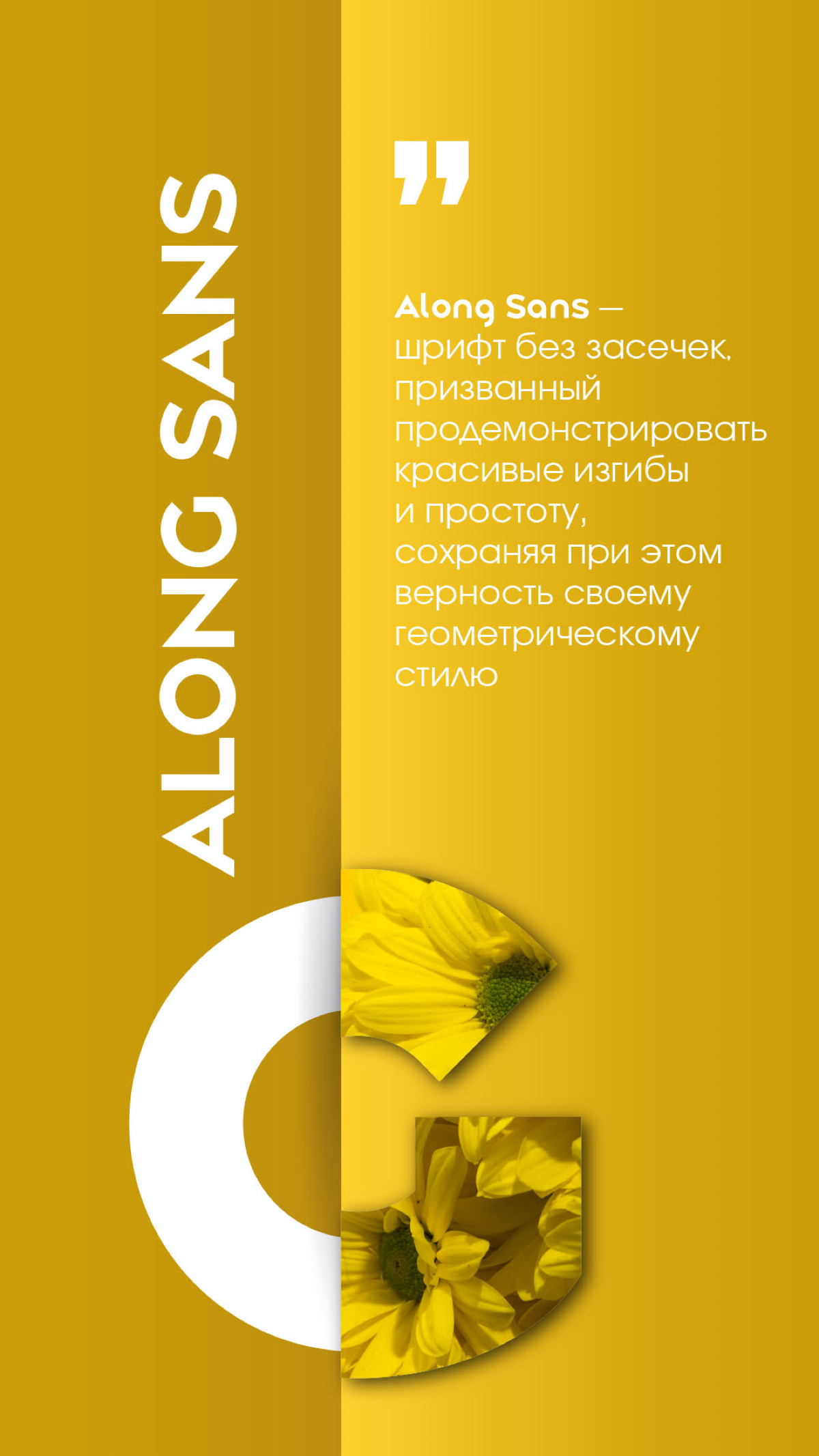 Топ 8 основных шрифтов | Сетка — социальная сеть от hh.ru