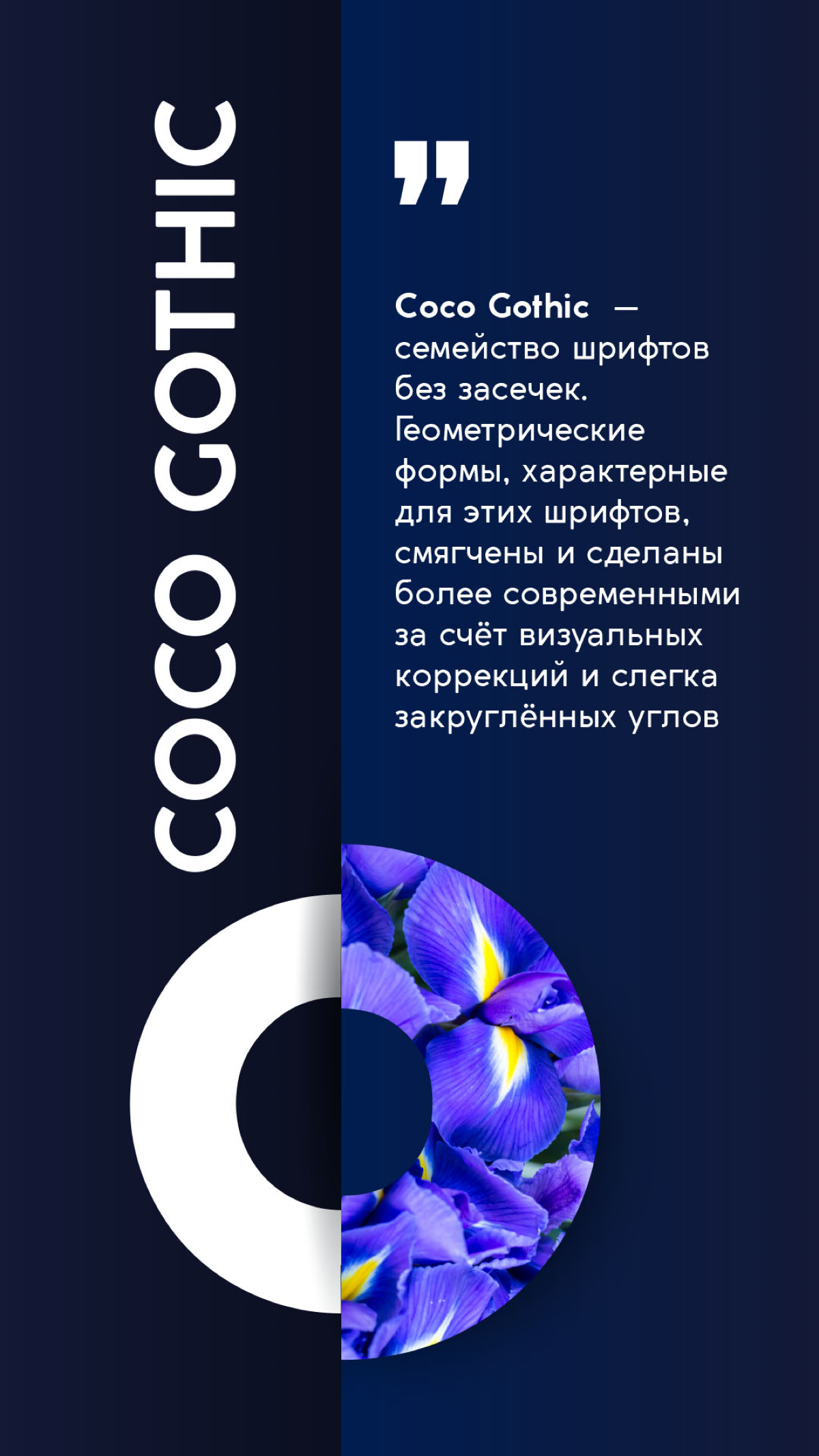 Топ 8 основных шрифтов | Сетка — социальная сеть от hh.ru