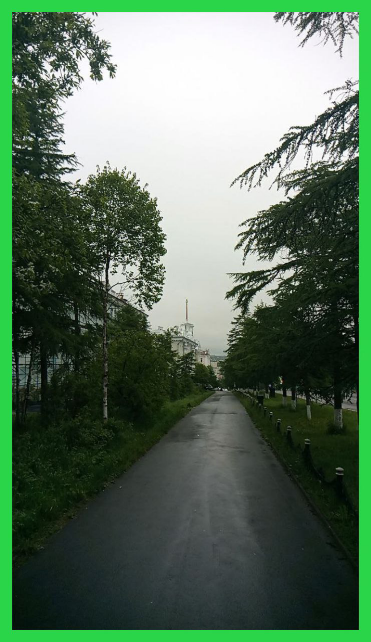 Как зелено было! / It used to be so greenish | Сетка — социальная сеть от hh.ru