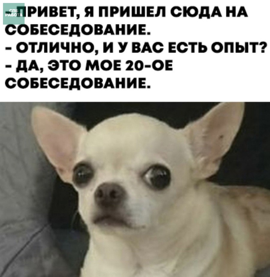 И так  бывает 😅 | Сетка — социальная сеть от hh.ru