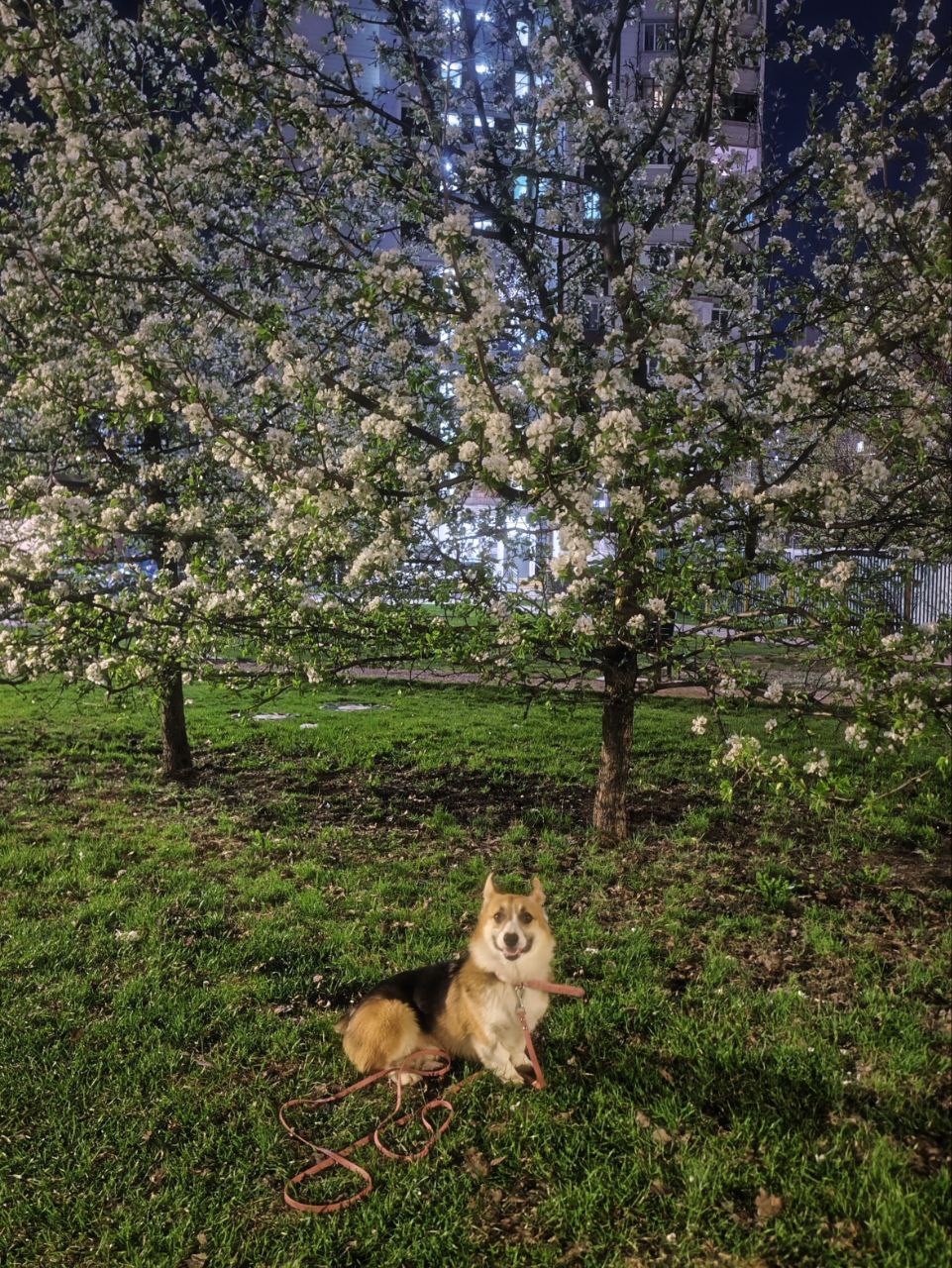 💕🌸 | Сетка — социальная сеть от hh.ru