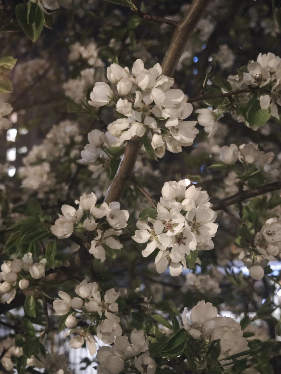 💕🌸 | Сетка — социальная сеть от hh.ru