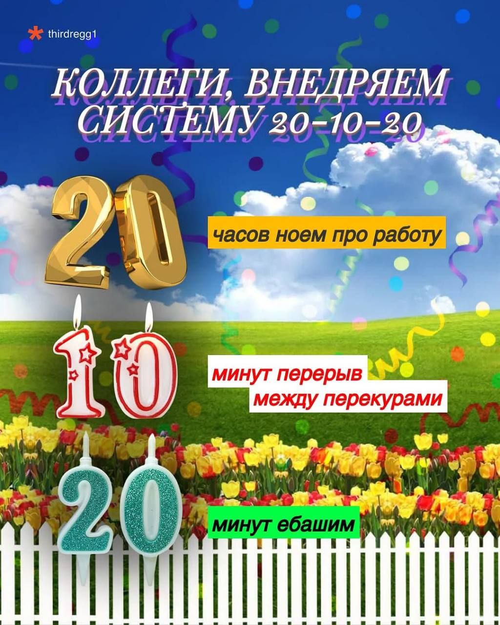 Начинаем с этой недели 🐙 | Сетка — социальная сеть от hh.ru