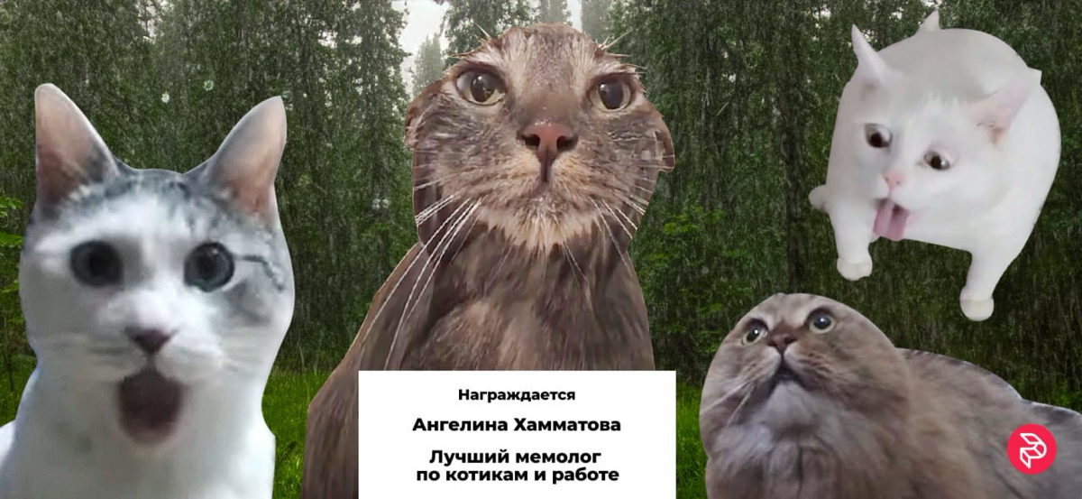 Ежеквартальное вручение номинаций | Сетка — социальная сеть от hh.ru