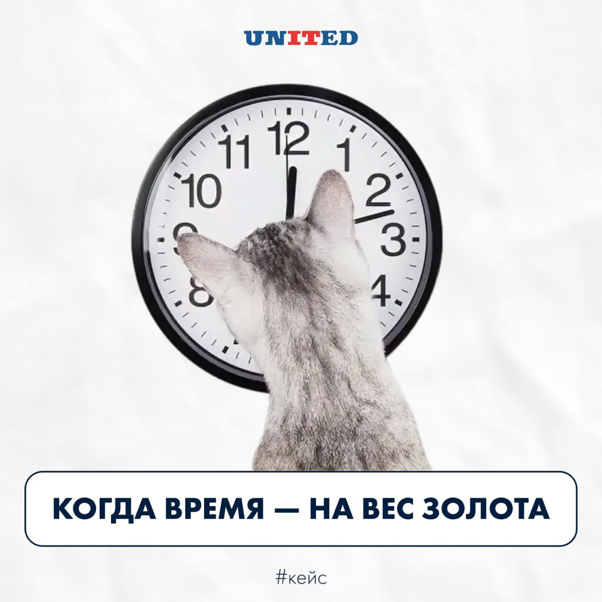 Когда время — на вес золота | Сетка — социальная сеть от hh.ru