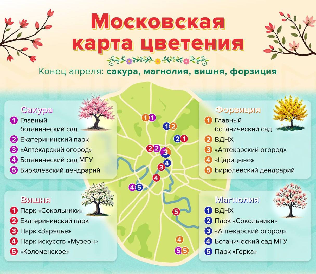 😍Сохраняйте подборку цветений в Москве
Можно любоваться сакурой, вишней и форзицией
📲Подпишитесь на Вдвижении | Сетка — социальная сеть от hh.ru