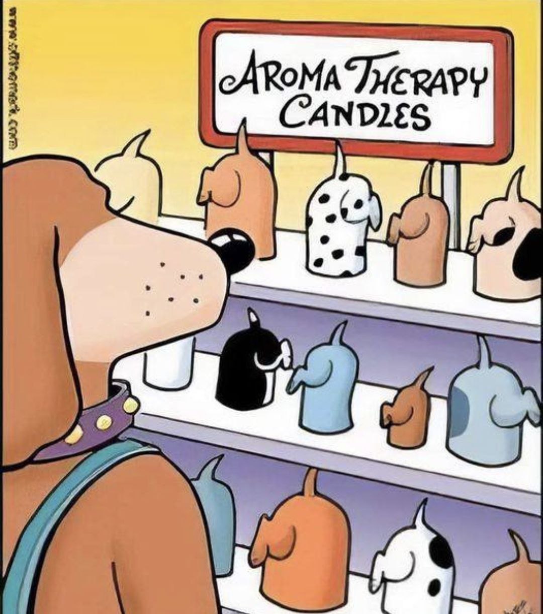 Выжившим в этот понедельник посвящается — #смехотерапия 😏
На любой вкус и цвет, так сказать 😂 | Сетка — социальная сеть от hh.ru