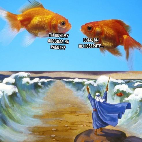 Сетка — социальная сеть от hh.ru