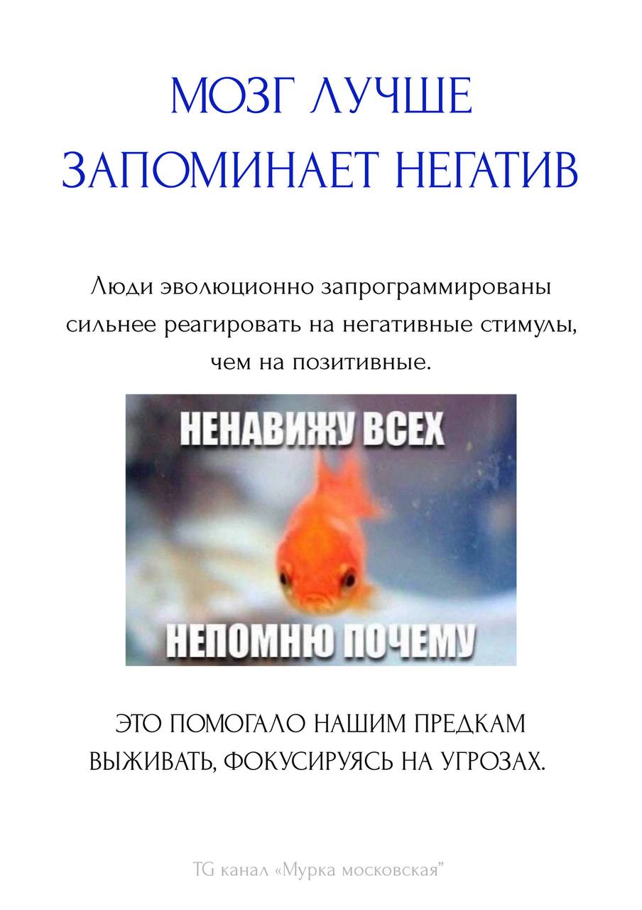 Садись, тройка!
Пишу стратегию, кропею, смотрю исследования, чтобы доказать своё мнение. Короче, когда в следующий раз вас босс попросит в креатив впихнуть ВООБЩЕ ВСЁ, покажите ему этот пост | Сетка — социальная сеть от hh.ru