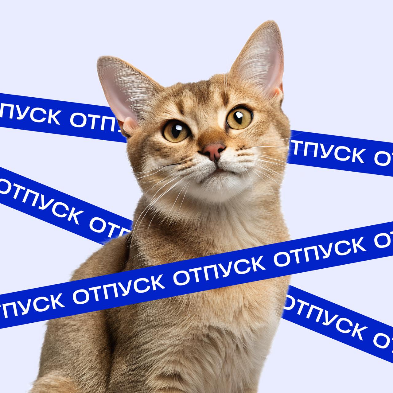 Вне зоны доступа мы не опознаны,
Вне зоны доступа мы просто в отпуске 🏝️🥥
Ловите наши новенькие аватарки и эмоджи-пак, которые мы подготовили совместно с Ozon Travel! 🔅
Иногда хочется простого человеч... | Сетка — социальная сеть от hh.ru