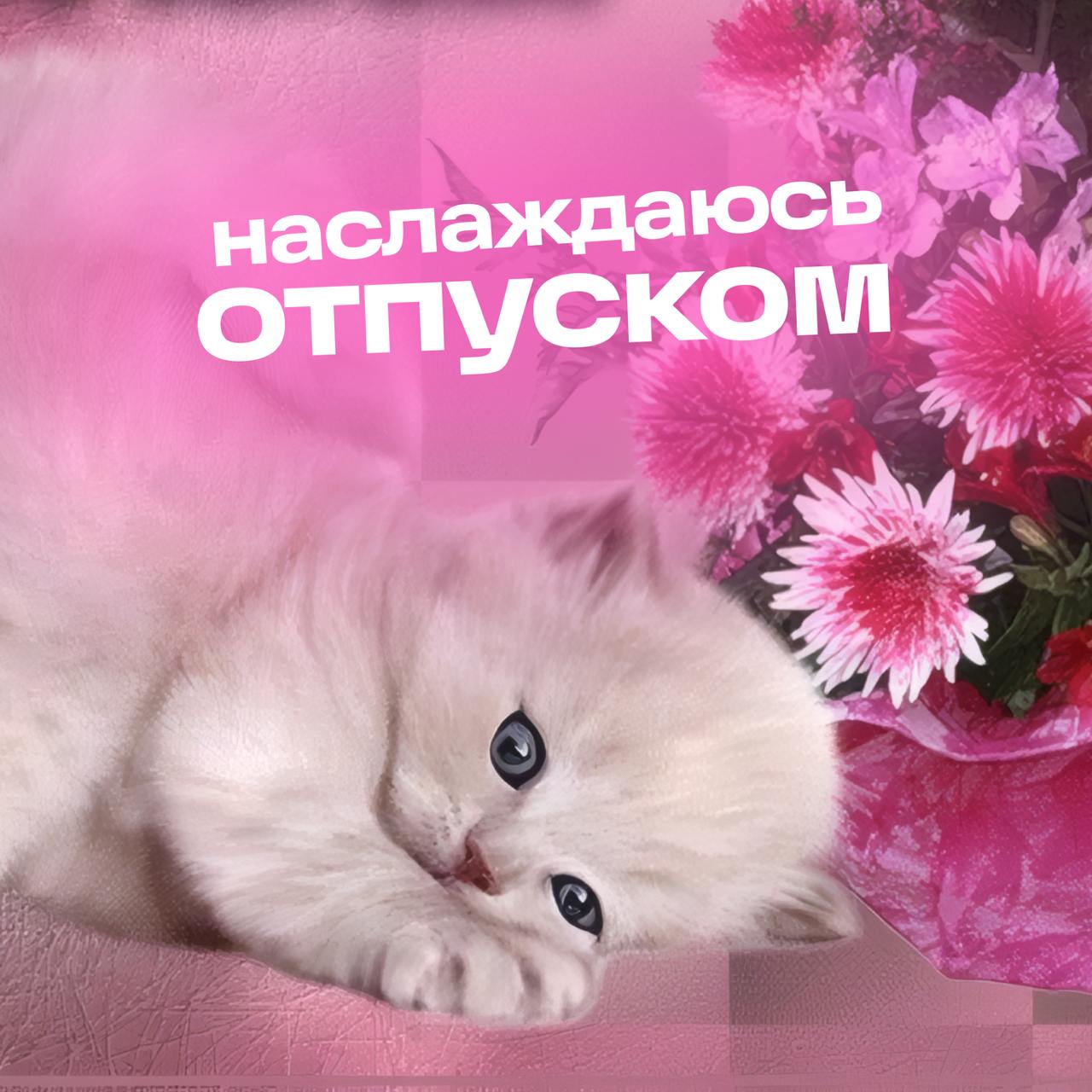 Вне зоны доступа мы не опознаны,
Вне зоны доступа мы просто в отпуске 🏝️🥥
Ловите наши новенькие аватарки и эмоджи-пак, которые мы подготовили совместно с Ozon Travel! 🔅
Иногда хочется простого человеч... | Сетка — социальная сеть от hh.ru