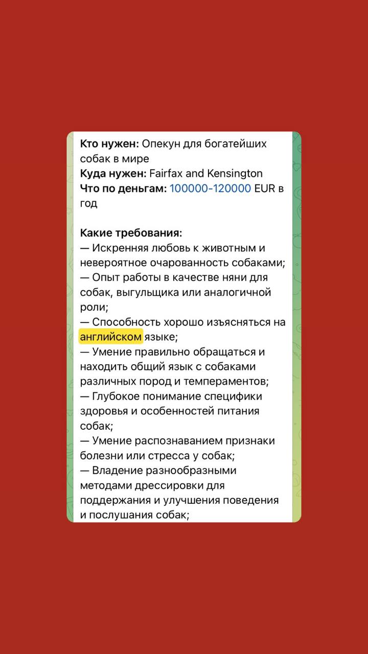 Лучшее от @horseatwork | Сетка — социальная сеть от hh.ru