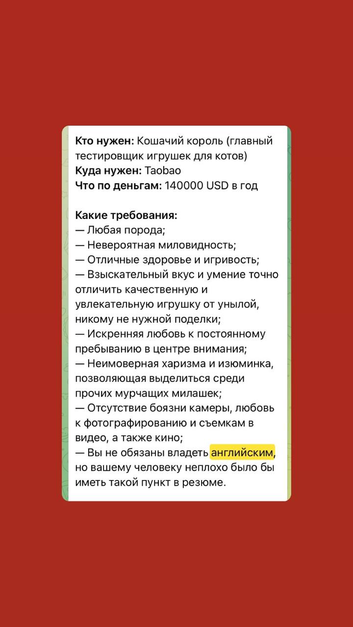 Лучшее от @horseatwork | Сетка — социальная сеть от hh.ru