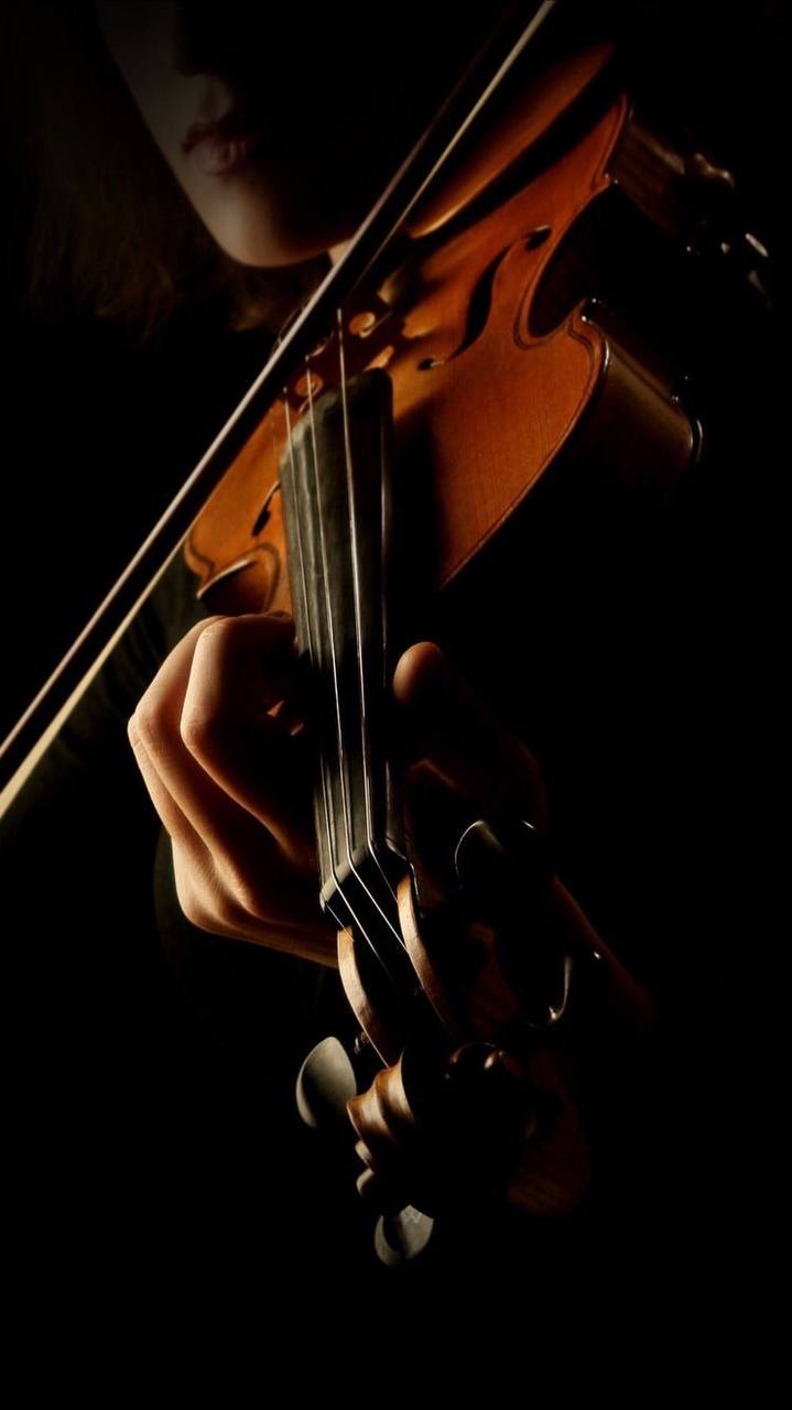 Вечер скрипичной музыки 🎻
30 апреля 19:00
В программе: И.С. Бах, Н. Паганини, А. Вьетан, Г. Венявский, Сарасате, Брамс, Рахманинов, Э. Багдасарян, И | Сетка — социальная сеть от hh.ru