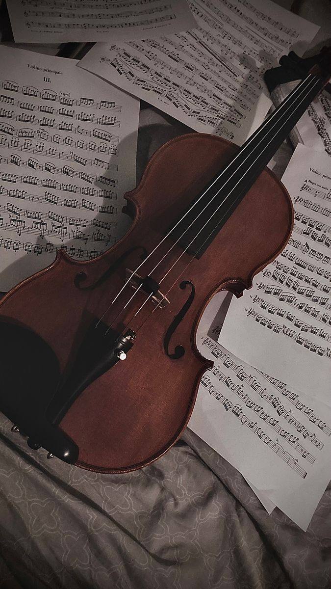 Вечер скрипичной музыки 🎻
30 апреля 19:00
В программе: И.С. Бах, Н. Паганини, А. Вьетан, Г. Венявский, Сарасате, Брамс, Рахманинов, Э. Багдасарян, И | Сетка — социальная сеть от hh.ru