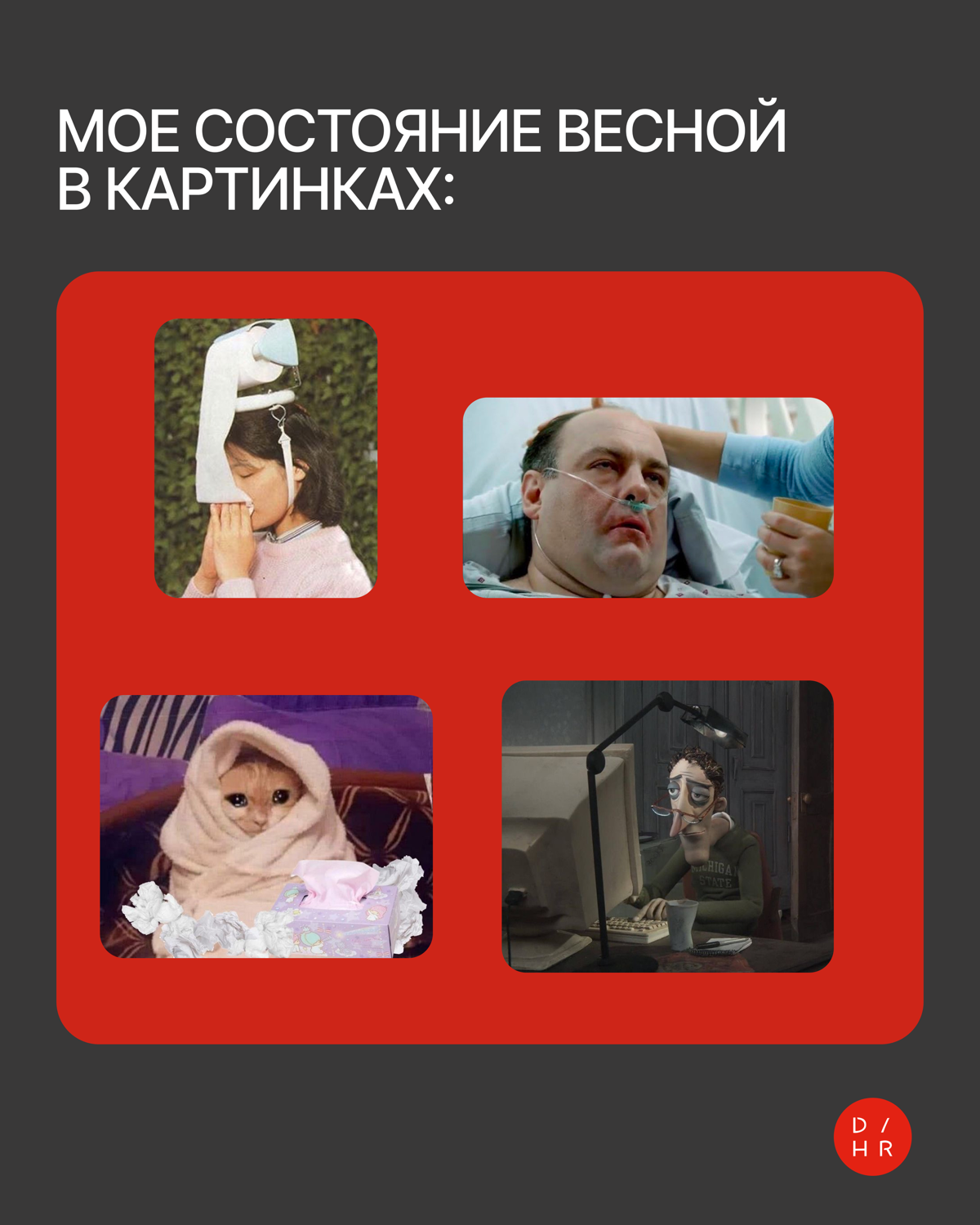 У природы нет плохой погоды. А у аллергиков — да 🤧 | Сетка — социальная сеть от hh.ru