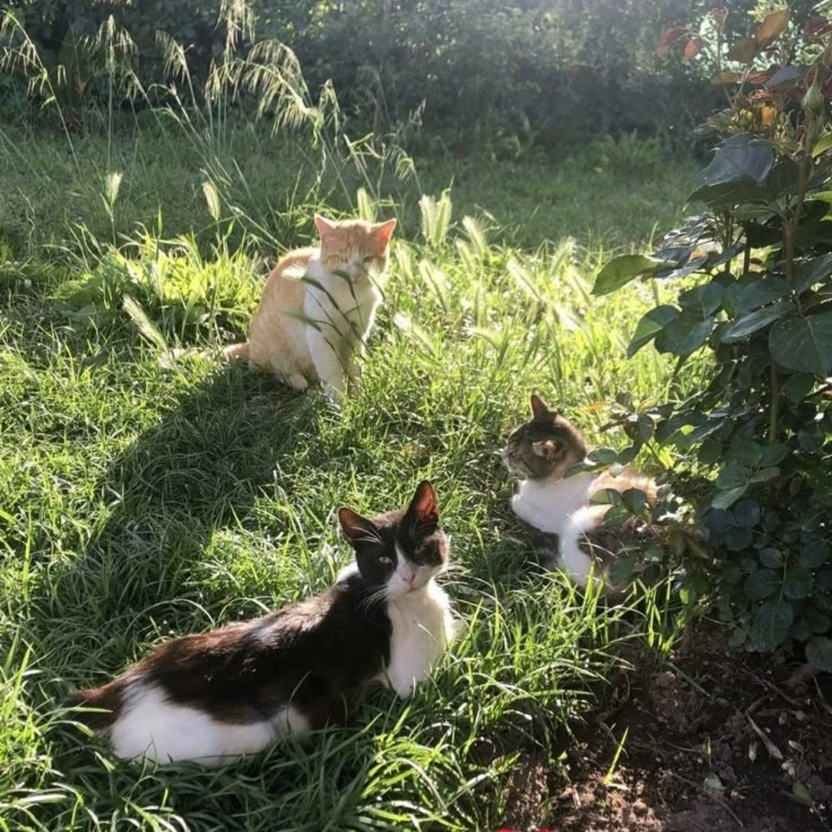 Рита Ефимова