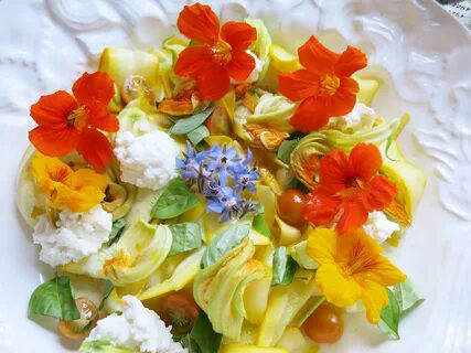 Съедобные цветы — это цветы, которые можно безопасно употреблять в пищу. Они используются в кулинарии для украшения блюд, придания аромата и необычного вкуса | Сетка — социальная сеть от hh.ru