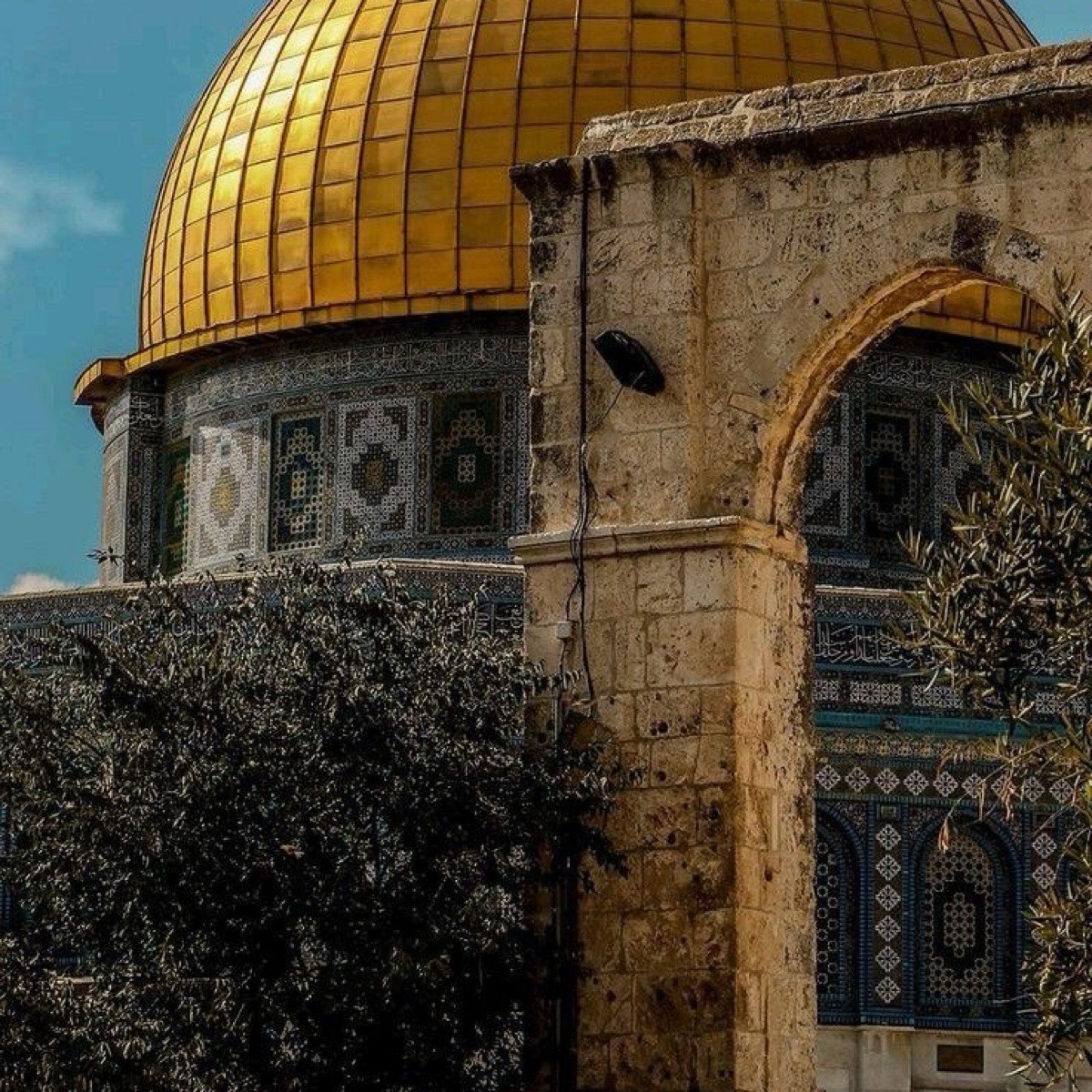 Заур Мамедов