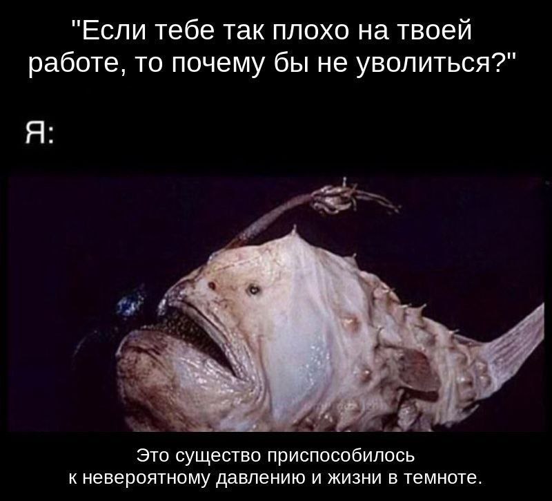 #IT
😂 Твой Пакет Мемов
🛍 Другие каналы | Сетка — социальная сеть от hh.ru