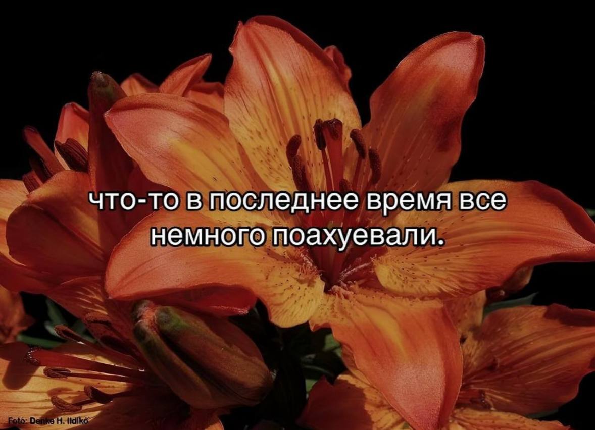 Теперь это канал с мемами | Сетка — социальная сеть от hh.ru