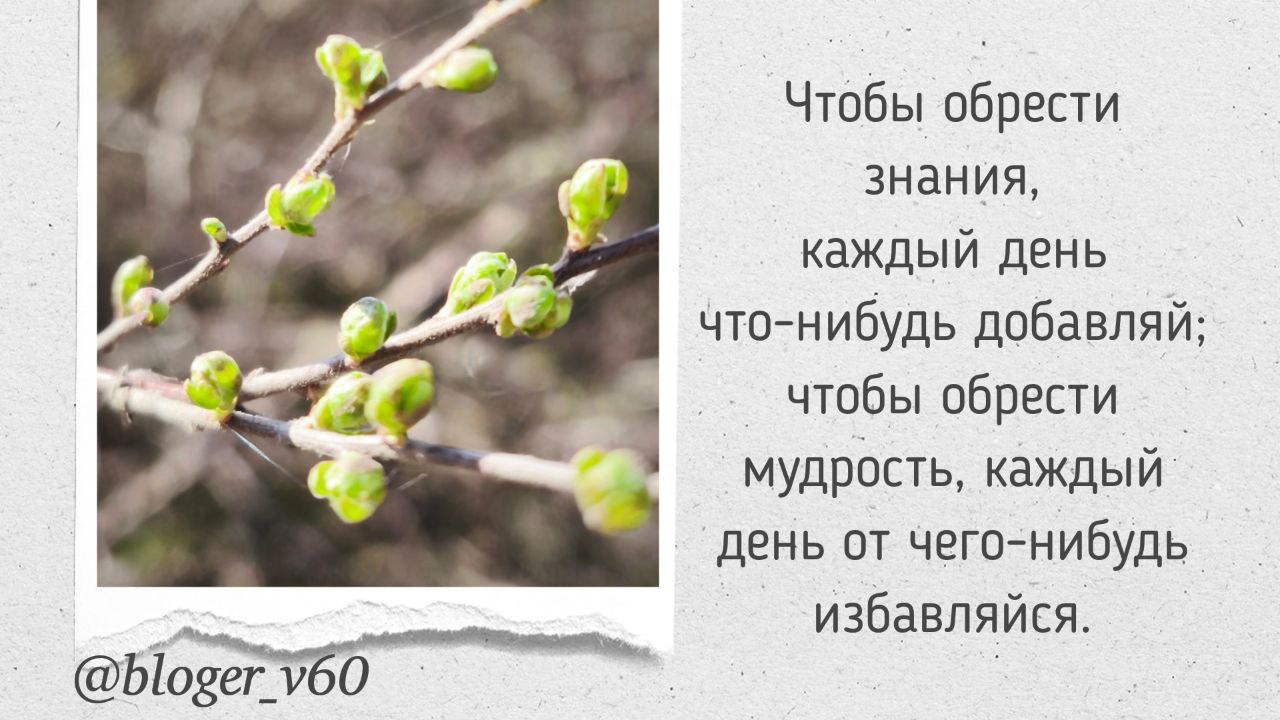Мотивация
#мышление #мотивация
@blogerv60 🟩 | Сетка — социальная сеть от hh.ru