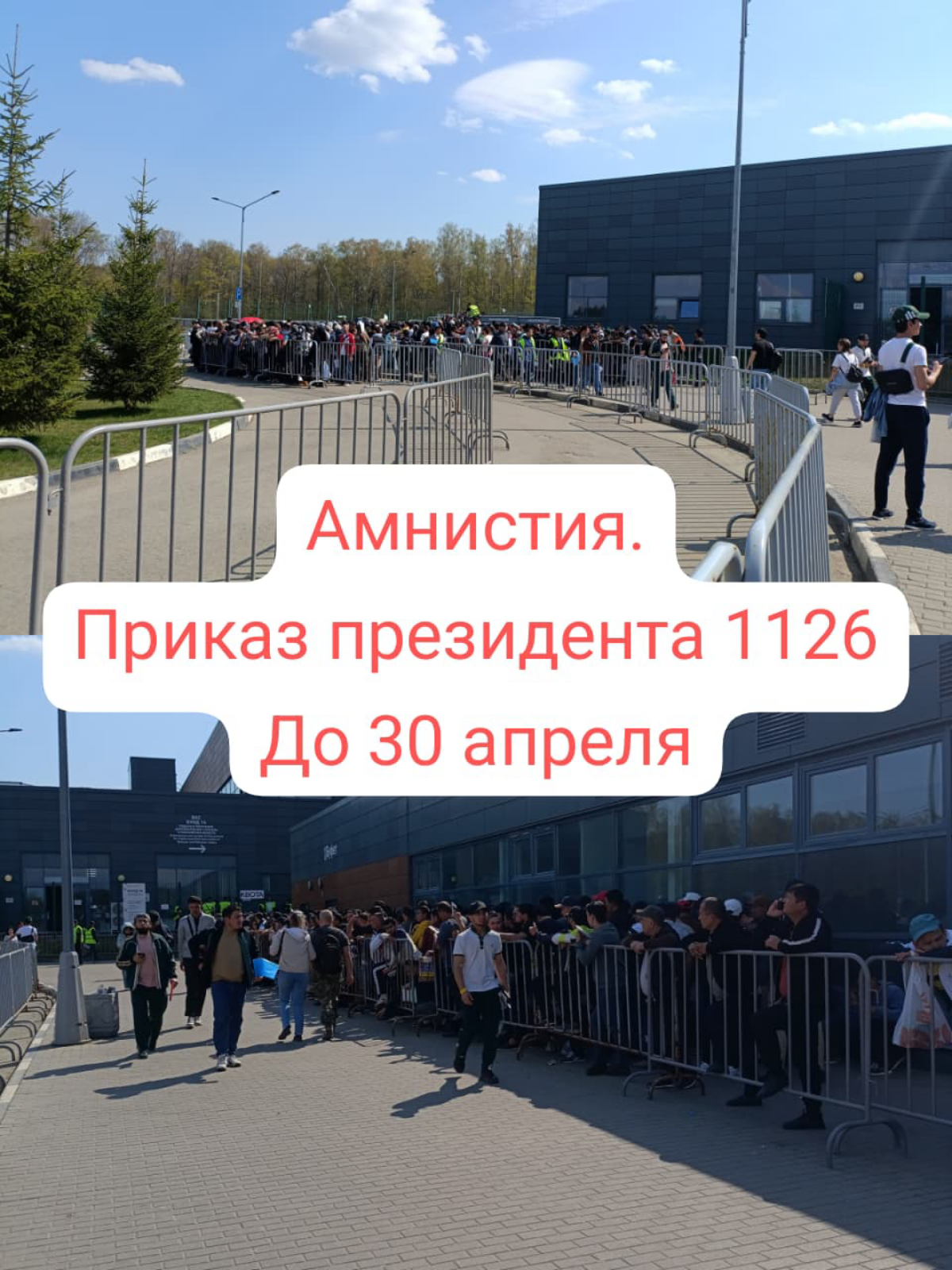 Легализоваться до 30 апреля. | Сетка — социальная сеть от hh.ru