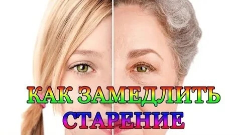 ♦️ВИДЫ МИКРОЗЕЛЕНИ КОТОРЫЕ  ЗАМЕДЛЯЮТ СТАРЕНИЕ
✔️✔️✔️✔️✔️✔️✔️✔️✔️✔️✔️✔️✔️
Некоторые виды микрозелени особенно богаты антиоксидантами, витаминами и минералами, которые помогают замедлять процессы старе... | Сетка — социальная сеть от hh.ru