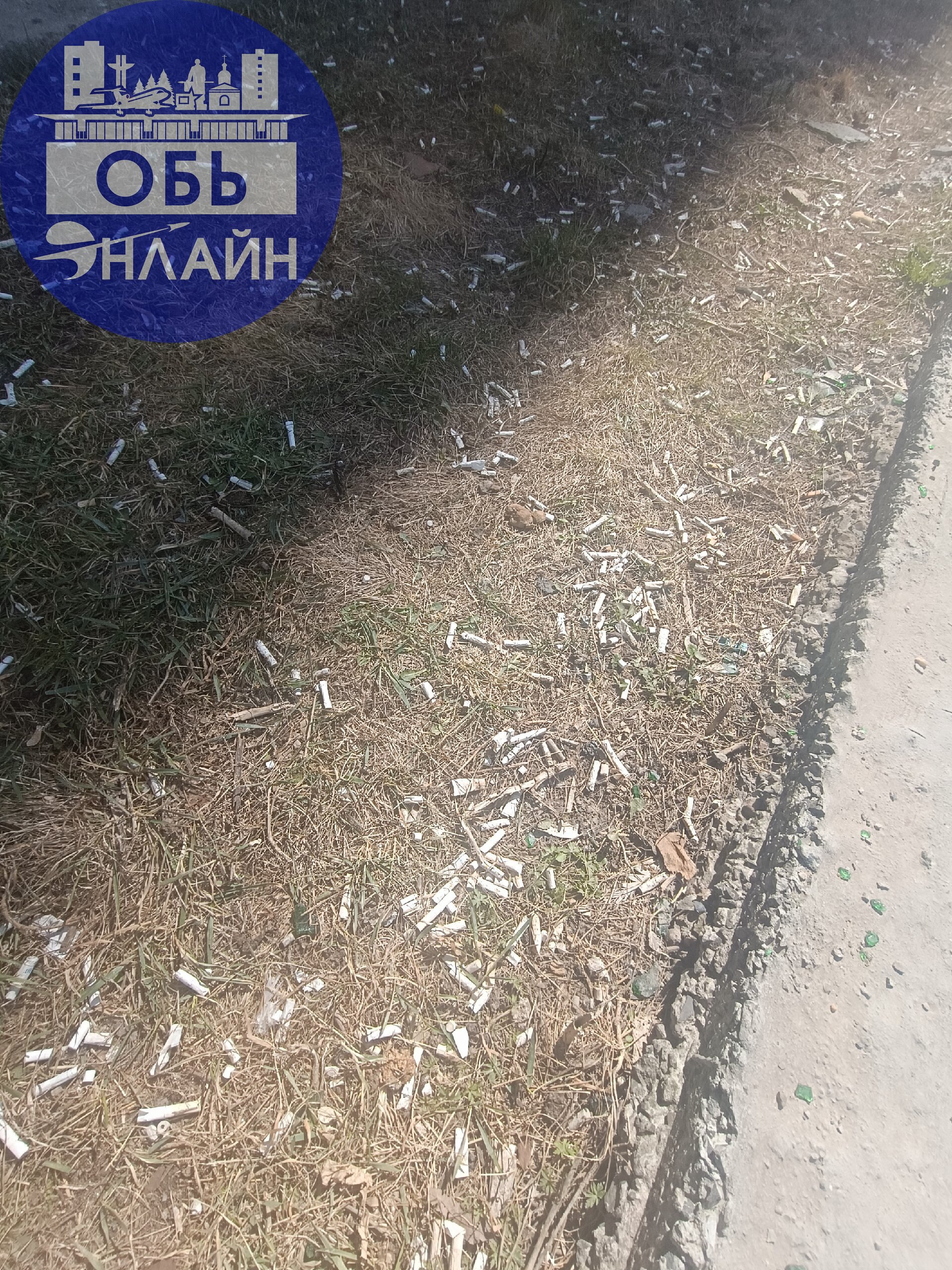 ↗ ТРОПА ОКУРКОВ ПО АДРЕСУ ЖКО АЭРОПОРТА 26
Люди, Вы вообще Люди?
Все хотят что бы наши дети росли приличными, порядочными, воспитанными, ценили и не ломали имущество города, что бы соблюдали чистоту и... | Сетка — социальная сеть от hh.ru