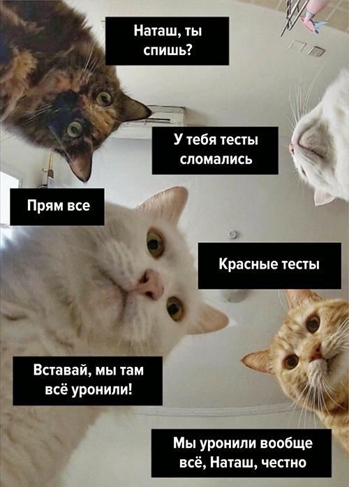 Team Lead AQA C# | Сетка — социальная сеть от hh.ru