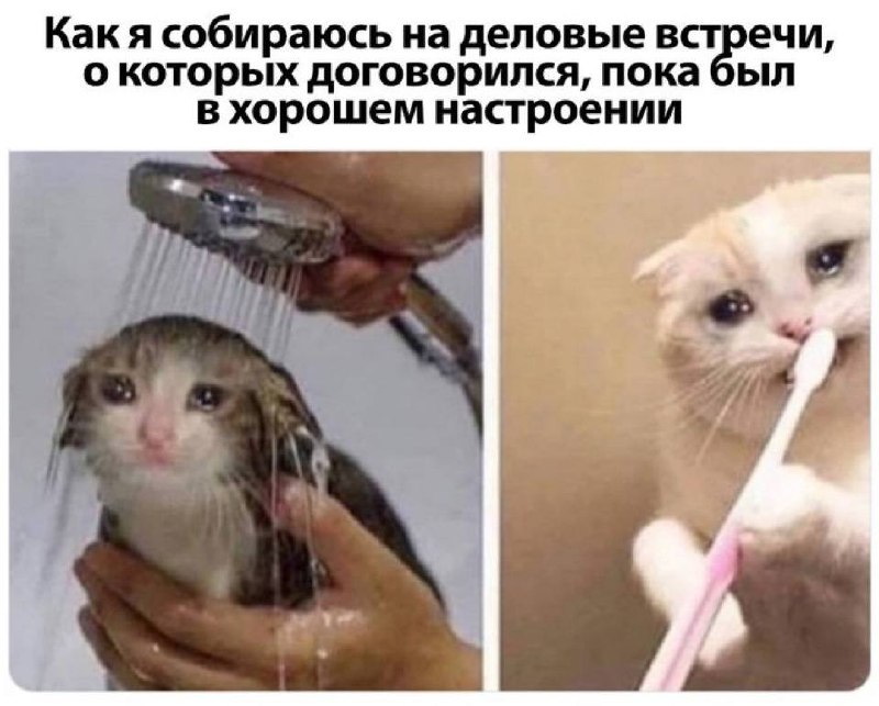 Не кладите телефон на стол во время встречи
Вы отвлекаетесь на вибрацию: фокус теряется, разговор обрывается. Есть и тяжелая артиллерия — люди со вспышкой на уведомления | Сетка — социальная сеть от hh.ru