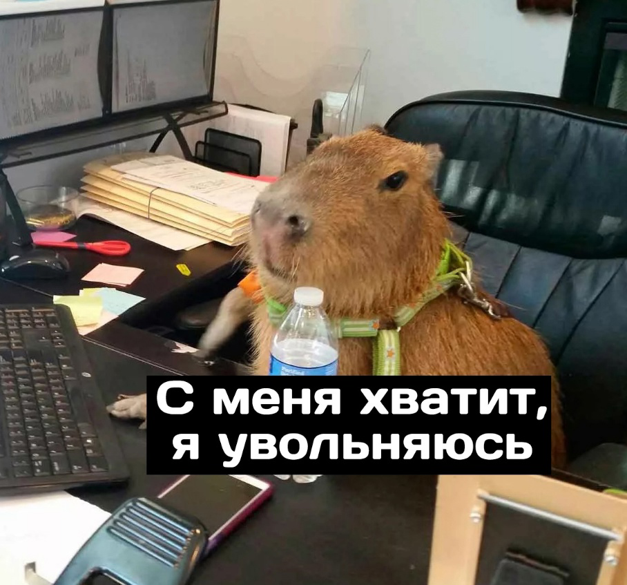 На этой неделе проходит собеседование мой кандидат на супер сложную позицию, это офшорный эксперт с опытом оборудования ГНКТ | Сетка — социальная сеть от hh.ru
