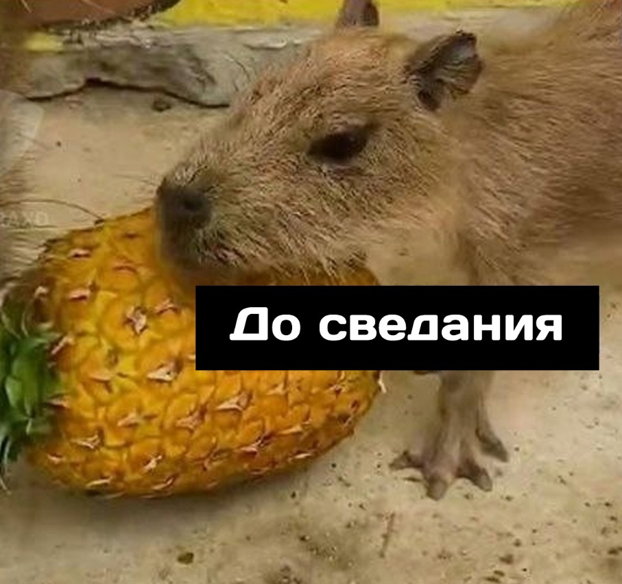 На этой неделе проходит собеседование мой кандидат на супер сложную позицию, это офшорный эксперт с опытом оборудования ГНКТ | Сетка — социальная сеть от hh.ru