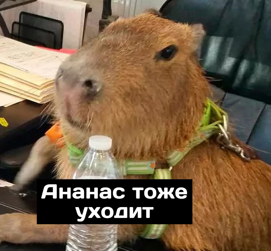 На этой неделе проходит собеседование мой кандидат на супер сложную позицию, это офшорный эксперт с опытом оборудования ГНКТ | Сетка — социальная сеть от hh.ru