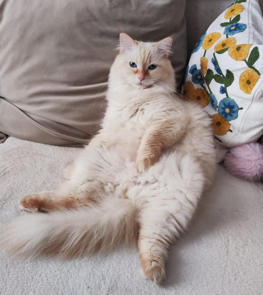 Апдейт, ловите вайб 🎧 | Сетка — социальная сеть от hh.ru