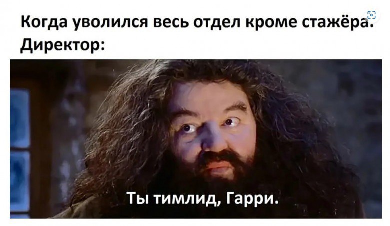 Для любителей быстрого карьерного роста после курсов | Сетка — социальная сеть от hh.ru