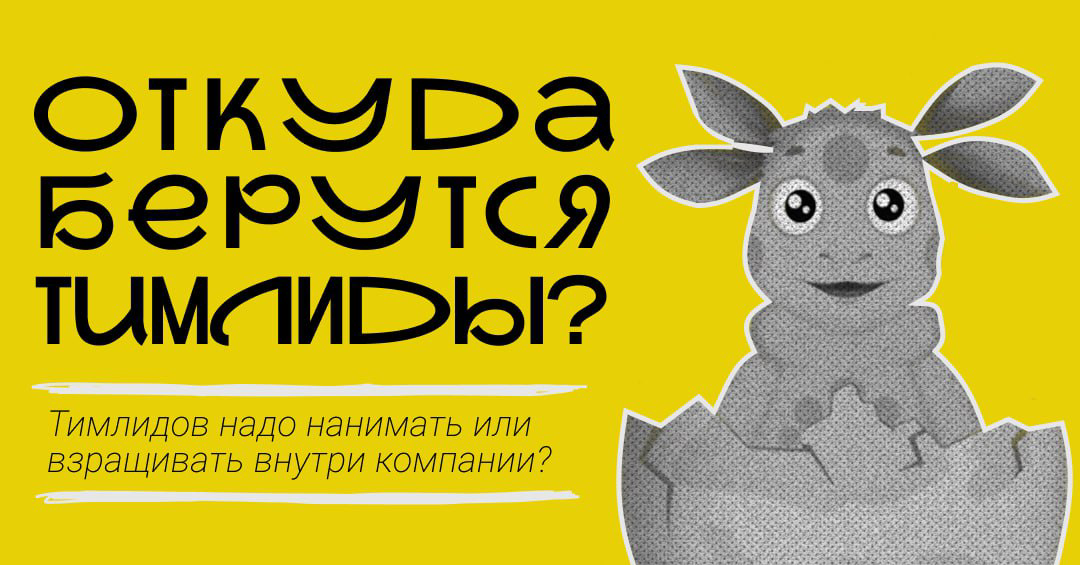 Откуда берутся Тимлиды? | Сетка — социальная сеть от hh.ru