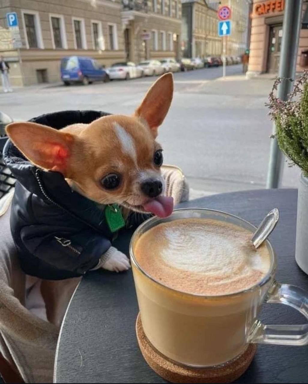 Кофе с корицей - главная задача на четверг ✔️ | Сетка — социальная сеть от hh.ru