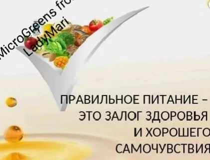 🔑РАСКРОЙТЕ СЕКРЕТ МОЛОДОСТИ С МИКРОЗЕЛЕНЬЮ☘️ | Сетка — социальная сеть от hh.ru
