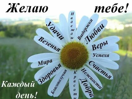 🌻РАЗБУДИТЕ СВОЙ ВНУТРЕННИЙ ПОТЕНЦИАЛ С  МИКРОЗЕЛЕНЬЮ!🌺
👇👇👇👇👇👇👇👇👇👇👇👇👇👇
Друзья, готовы ли вы к настоящему прорыву в вашей жизни? Представьте, что у вас есть ключ к неиссякаемой энергии, ясности ума и от... | Сетка — социальная сеть от hh.ru