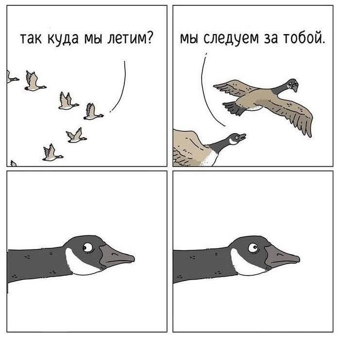 Сделай вид ради приличия хотя бы 😁 #юмор | Сетка — социальная сеть от hh.ru