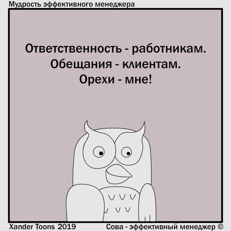 Я вырвался из череды конференций, трудностей и готов навалить контента | Сетка — социальная сеть от hh.ru