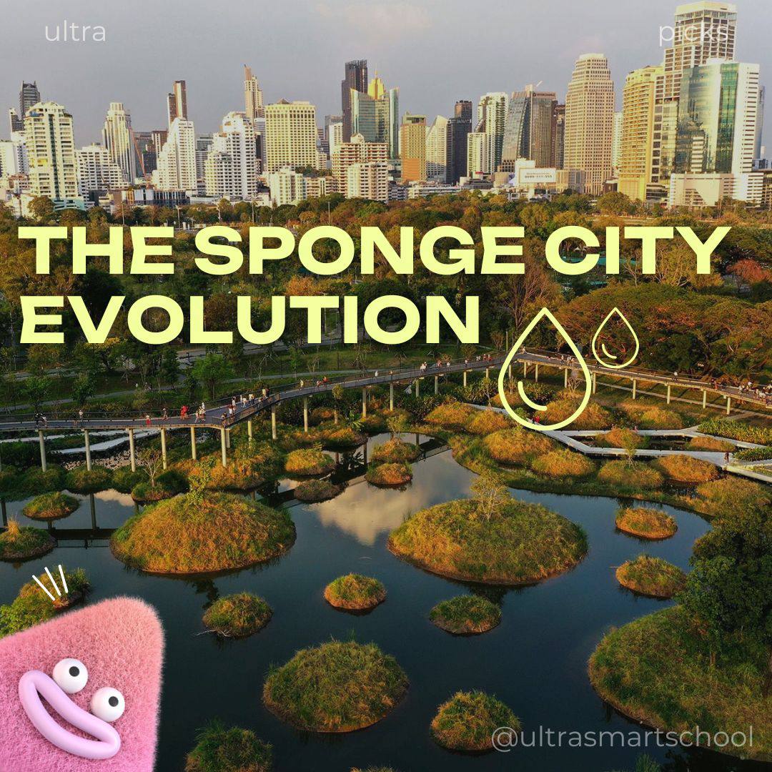 🌿Sponge Bob city эволюция
Привет, ultra babes! Сегодня в #ultrapicks читаем очень интересную статью — The Sponge City Evolution, которая рассказывает, как современные города учатся быть… губками | Сетка — социальная сеть от hh.ru