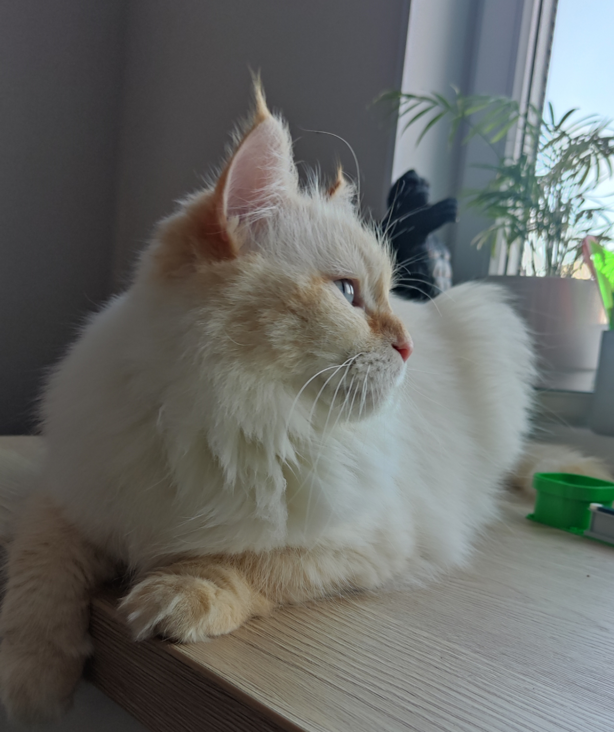 Когда ты прошёл всё, чтобы узнать о минималке 28К… | Сетка — социальная сеть от hh.ru