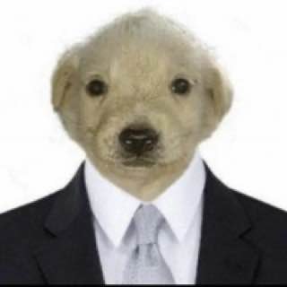 Георгий Пьянков | Сетка — социальная сеть от hh.ru