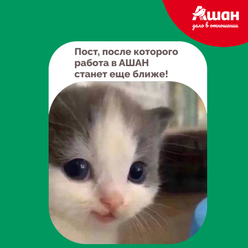 Менеджер по B2B-продажам | Сетка — социальная сеть от hh.ru
