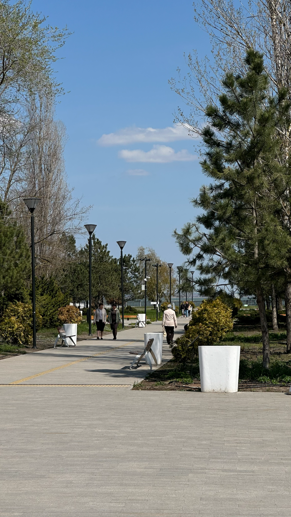 Инсайт по цене чашки кофе | Сетка — социальная сеть от hh.ru