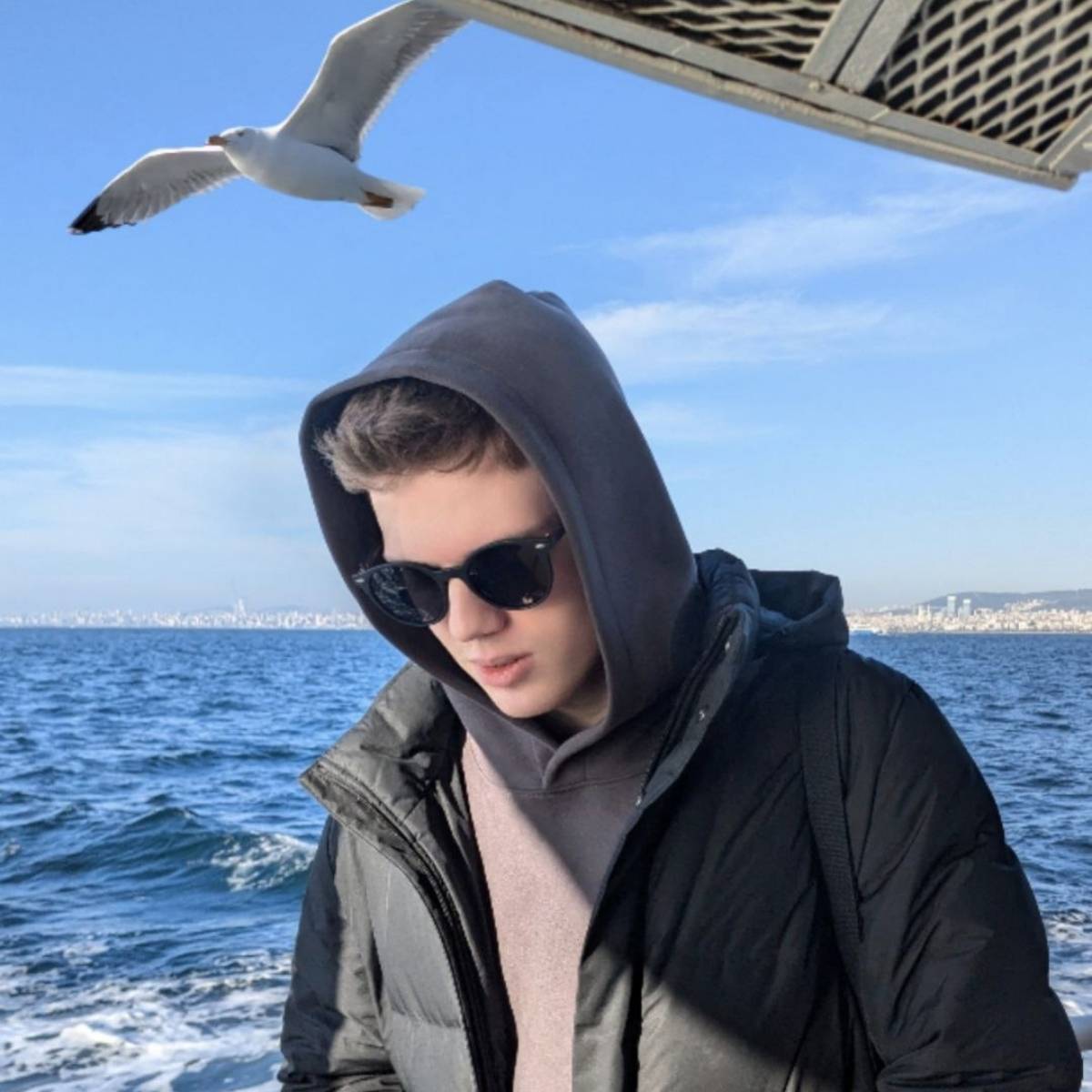 Дмитрий Крицун