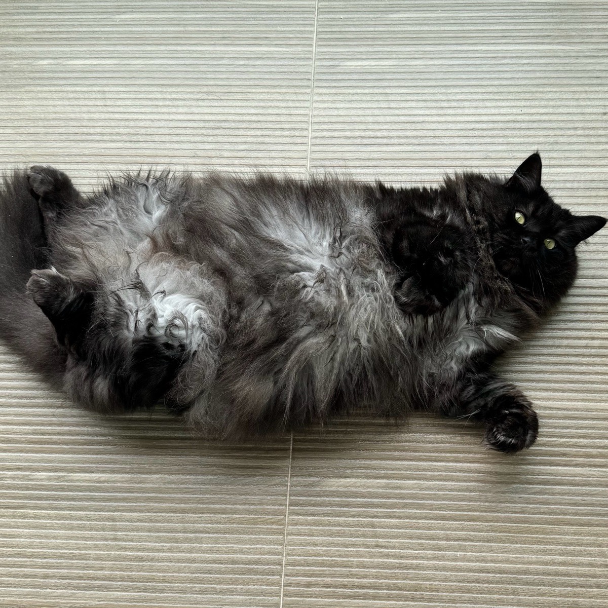 Елена Вергасова | Сетка — социальная сеть от hh.ru