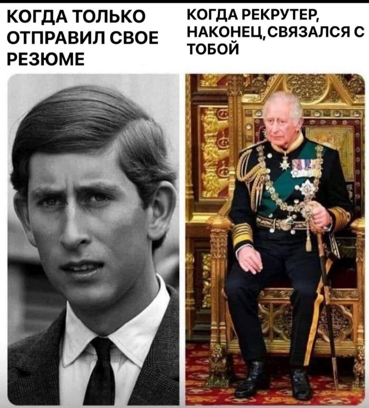 Моя мемочная 💜 https://t.me/humorhr | Сетка — социальная сеть от hh.ru